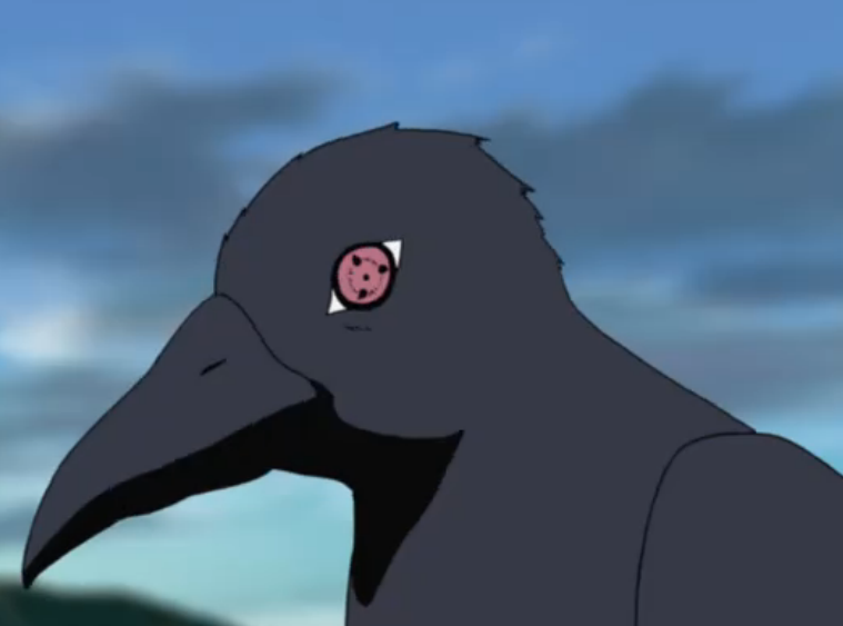 Corvo De Itachi Wiki Naruto Fandom Browse and download hd itachi png images with transparent background for free. corvo de itachi wiki naruto fandom