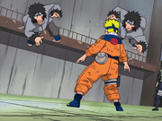 Kiba Inuzuka, Naruto Ultimate Ninja Storm Wiki