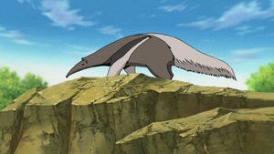 Anteater