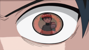 Sharingan observa Lee