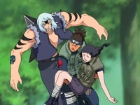 Ирука бьётся с трансформировавшимся Мизуки.