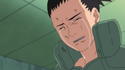 Shikamaru Cries