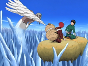 Plik:Kimimaro vs Gaara Rock Lee