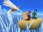 Gaara échappe de peu à la mort contre Kimimaro.