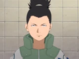 Shikamaru Nara