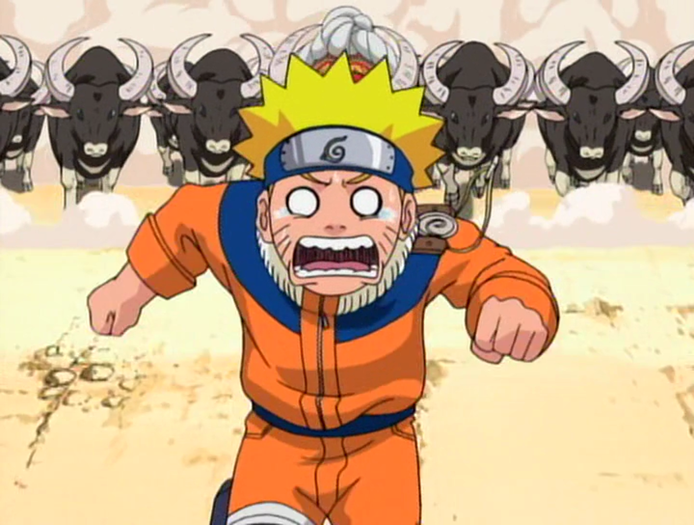 The Final Rounds Rush To The Battle Arena Narutopedia Fandom