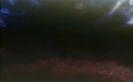 Parasitic Destruction Insects: Hollow | Narutopedia | Fandom