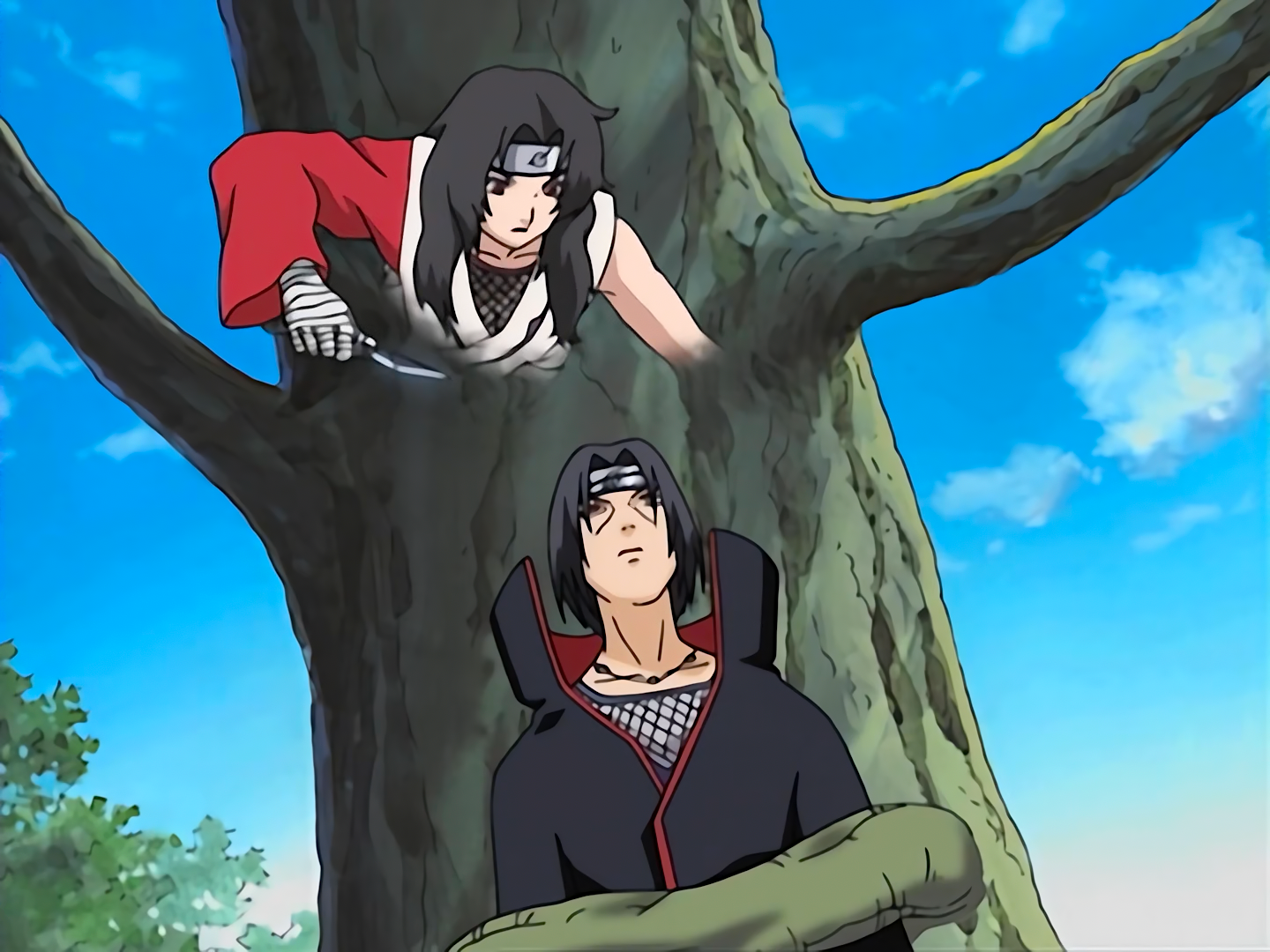 Naruto Shippuden - Episodio 145 - O Sucessor do Jutsu Proibido Online -  Animezeira