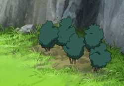 Energy Ginseng.png (435 КБ) Морковь Жизненной Силы