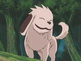 Akamaru