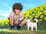 Kiba Inuzuka, Naruto Ultimate Ninja Storm Wiki