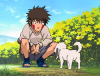 Kid Kiba