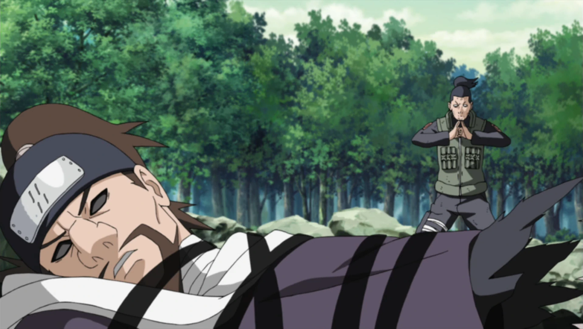 Ensui Nara | Narutopedia | Fandom 