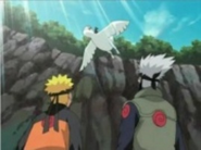 Naruto e Kakashi perseguindo Deidara.