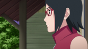 Sarada talks about Naruto