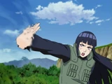 Paume du Hakke