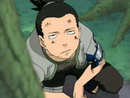 Shikamaru observando as nuvens.