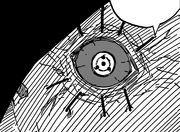 Shin's Fathers Eye