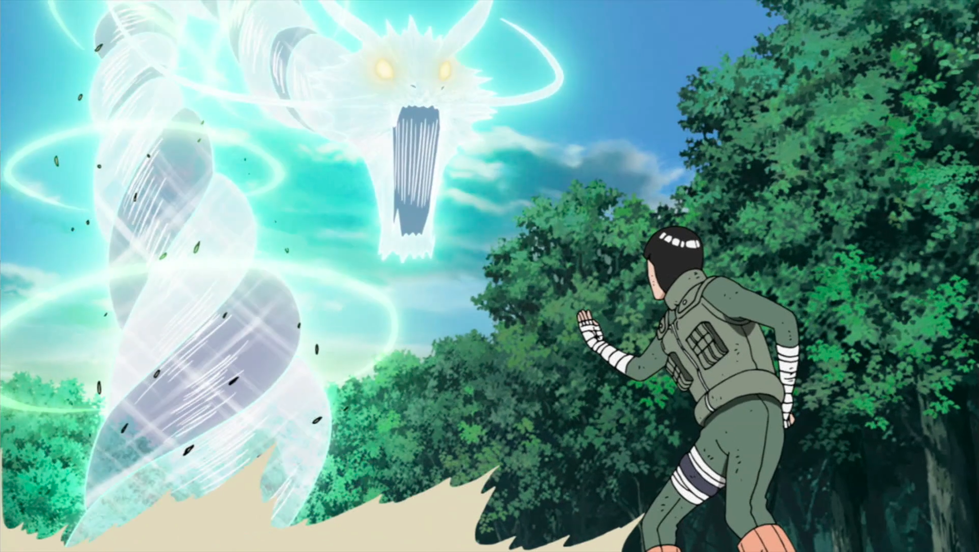 Rock Lee, Wiki