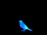 Blue Bird