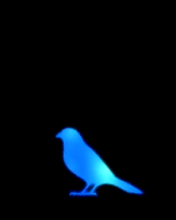 Blue Bird Wiki Naruto Fandom Naruto shippuden — blue bird(opening) 03:38. blue bird wiki naruto fandom