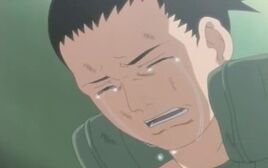 Shikamarullorando