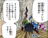 Assimilação Colorido(Madara)