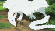 Dragon C2.png