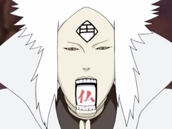 Марионетка 8: Эта марионетка имела белые волосы и большие бакенбарды, а также кандзи, обозначающее "Будда" (яп. 仏, Буцу) на своём языке, которое активирует технику Всасывающее Измельчение Трёх Драгоценностей, которая используется одновременно с марионетками Дхармы и Сангхи.