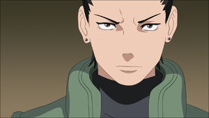 Nara Shikamaru}}