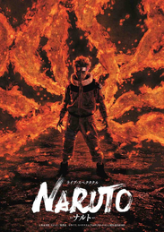 Live Spectacle Naruto Poster