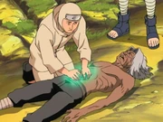 Mizuki's cells destroyed by the incomplete potion, and being stabilised by Kitō.