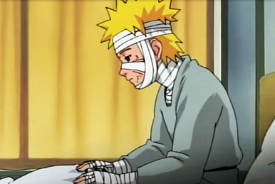 Naruto Shippuden Dublado - Episodio 1 - Voltando Para Casa Online -  Animezeira