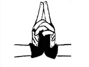 A rengeteg kézjel egyike.