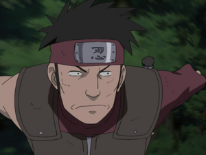 Iruka Umino  Narutopedia+BreezeWiki