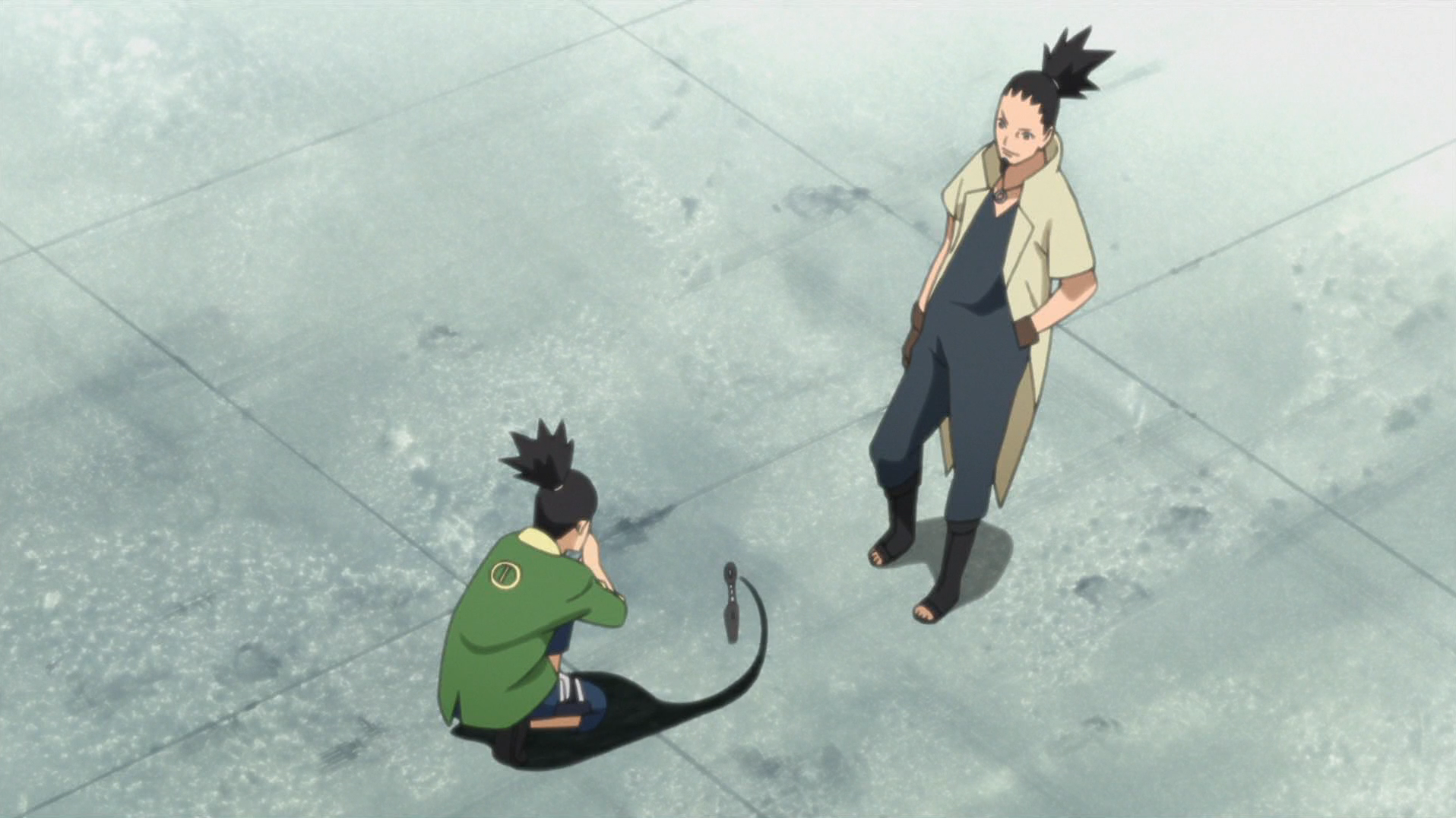 Shikamaru Nara, Narutopedia