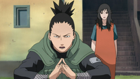 Shikamaru Protects Kurenai