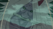 Rostro del Shinigami