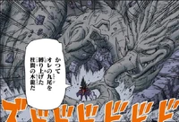 Técnica Dragão de Madeira Colorido(Madara)