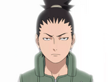 Shikamaru Nara