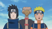 File:Naruto's School of Revenge