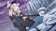Mitsuki vs. Boro