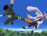 Rock Lee đang sử dụng taijutsu.