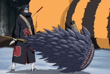 NARUTO-ZETSU＆HOSIGAKI KISAME-KAKUZU＆PAIN Shizuma Hoshigaki | Narutopedia | Fandom