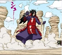 Técnica de Absorção de Bloqueio Colorido(Madara)