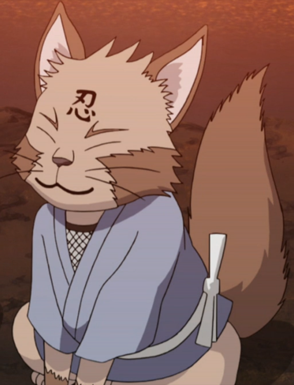 Gato Ninja, Wiki Naruto