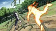 Naruto fights Black Zetsu