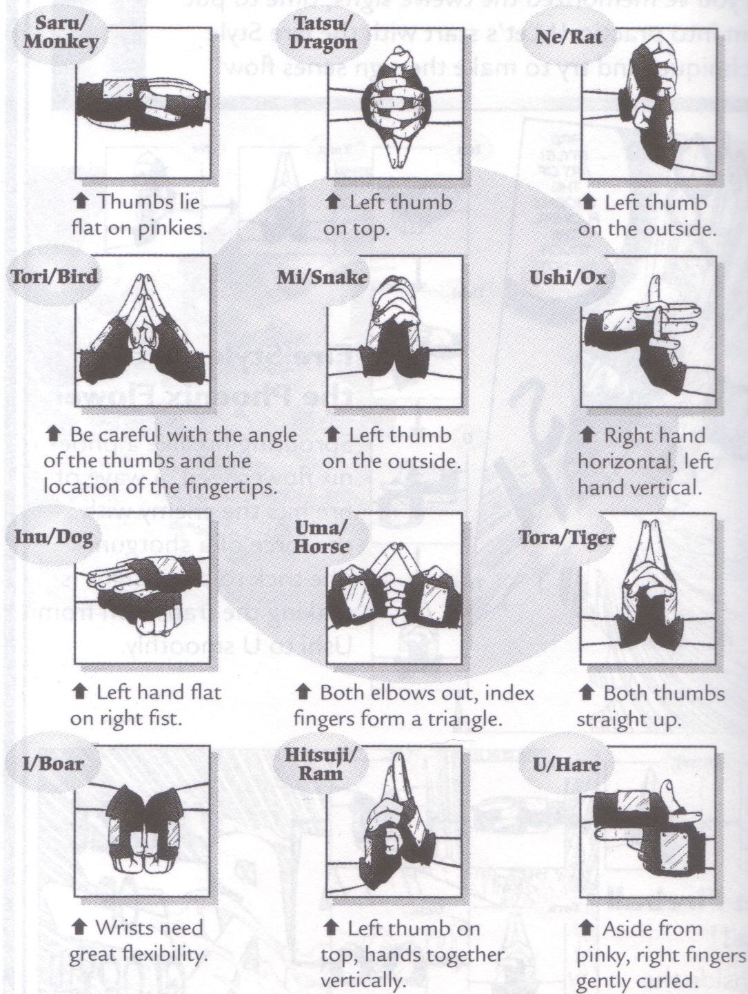 lightning style jutsu hand signs