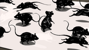 Ratos de tinta