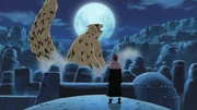 Gaara ayant perdu le contrôle d'Ichibi.